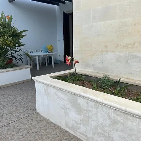 Flora *